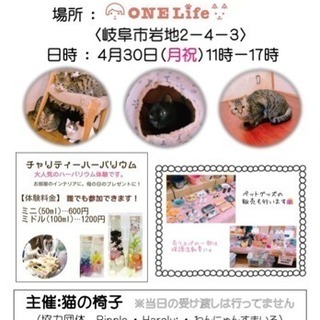 保護 犬猫譲渡会