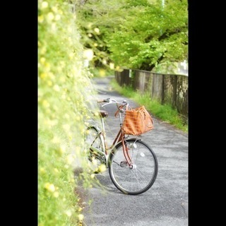 カメラサークル📸