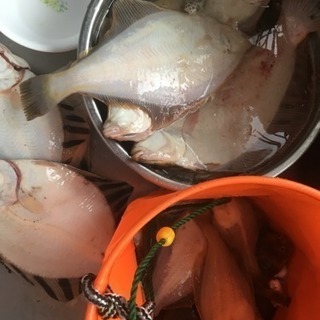 釣り友募集中。