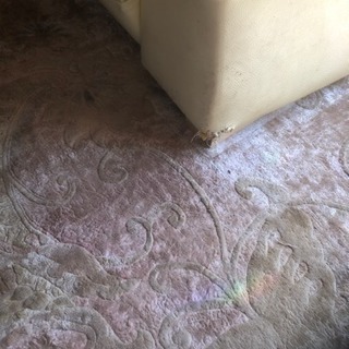 ソファ譲りますの画像