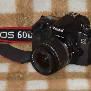 キャノン６０Ｄレンズキッド 