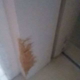 幅木&柱&壁紙直しをお願いします