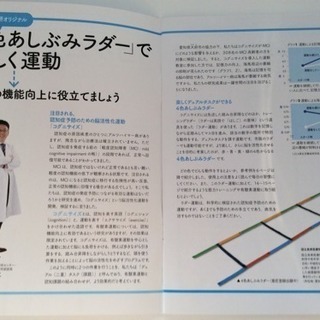 コグニサイズ　認知症予防! 4色あしぶみラダーの画像