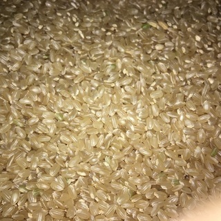 佐賀県産  さがびより 玄米30キロ令和5年産の画像