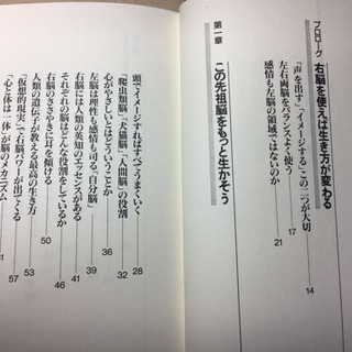 【書籍】「脳内革命」②春山茂雄著（定価1600円）の画像