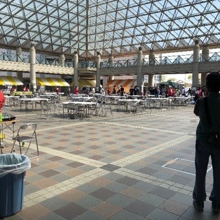 ★新会社ｽﾀｯﾌ大募集★即登録即勤務ok - メンバー募集