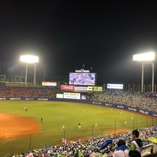 【野球観戦】仲間募集(30代中心)