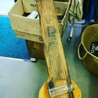 大きな流木のDiddleyBow。