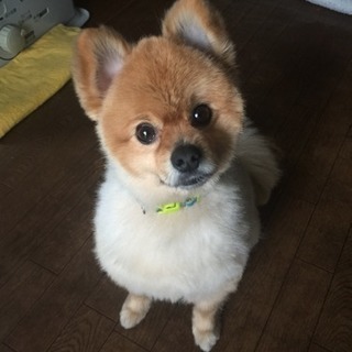 これから新宿とかでカラオケできる人
