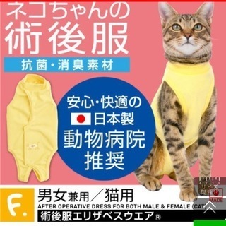 術後服エリザベスウエア猫用の画像
