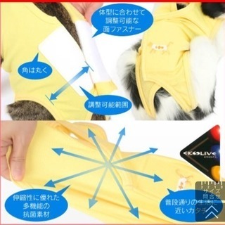 術後服エリザベスウエア猫用の画像