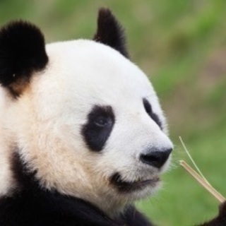 中国語を教えます。の画像