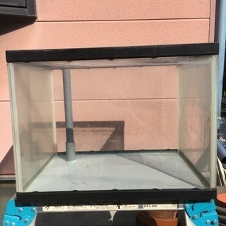 オーバーフロー水槽