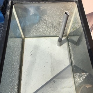 オーバーフロー水槽の画像