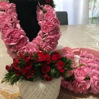 フラシスター大募集中💕 − 東京都