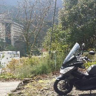 PCX JF56 (同程度のMTバイクと交換希望)の画像