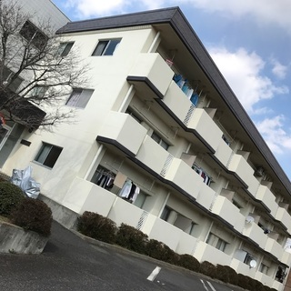 ◎ペット可！駐車場2台可！生活至便。2LDK（52㎡）5.2万円　初期費用10万円プラン有！の画像