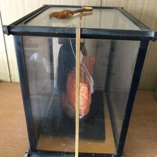 人形 ケース入りの画像