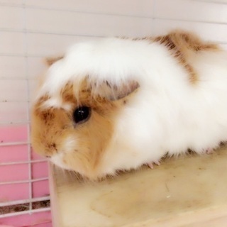 友達募集(*^^*)
