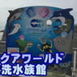 アクアワールド大洗水族館　7月8月の社会人サークル