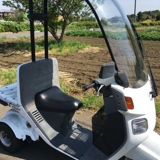 ホンダ キャノピー