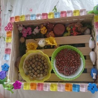 【親子】6/3開催！DIYワークショップ☆自分だけのミニミニ菜園...