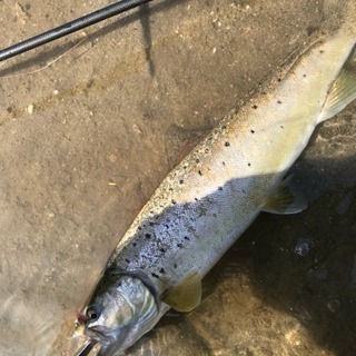 ルアー釣り