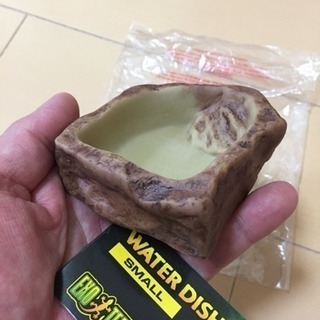 新品 GEX ウォーターディッシュの画像