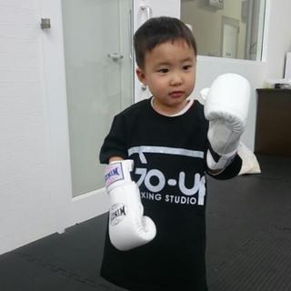 キッズ空手・キッズキックの無料見学・体験会を行います！の画像