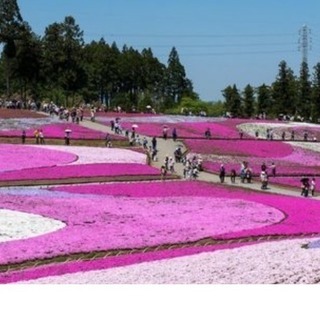 名古屋、西三河のグルチャのメンバー募集3