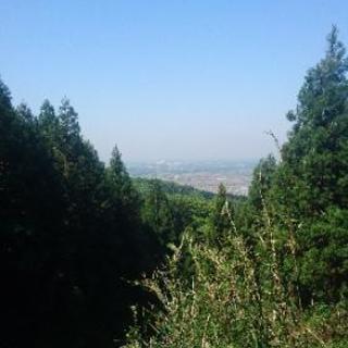 浅間山トレイルラン