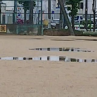 本日３日(祝)午後の体験会は中止します。