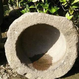 石臼 メダカ飼育 容器の画像