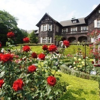 旧古河庭園🌹春のバラ🌹フェスティバル