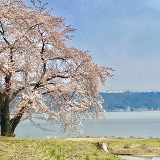 星ノ杜ヨガ、ベビーヨガの画像