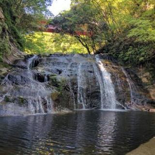 ツーリング仲間募集 − 東京都