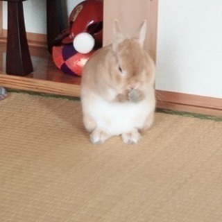福岡の天神付近