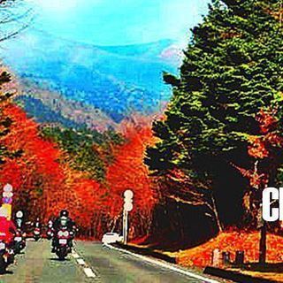 ツーリングクラブ　CPⅡ　クロスポイント - 浦安市