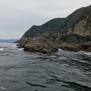 伊豆などで釣りが出来る方！