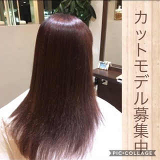 カットモデル募集！