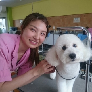 日曜日に自由にトリミング技術習得！神戸愛犬美容専門学院の画像