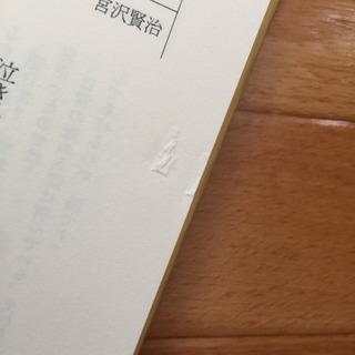 あなたにあいたくて生まれてきた詩の画像