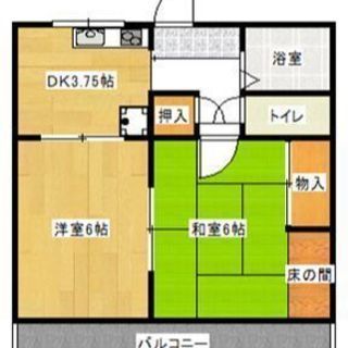 【ソルカーサ】☆初期費用無料☆南区芳川 2DK／家電付き／ペット可☆