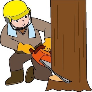 庭木伐採・剪定☆見積無料☆