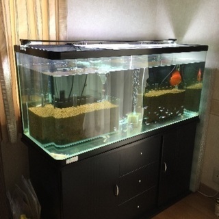 120cm 水槽、水槽台、LEDライト