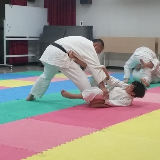 護身術・古武道の会　　奈良練成会　の画像