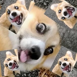 趣味を共有できる仲間が欲しいです！