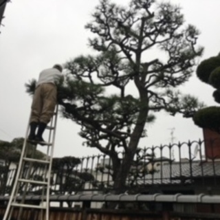 お庭のことなら当社にお任せください！～川西市にある植木屋、グリーンアレンジメントMARUHIRO～ − 兵庫県