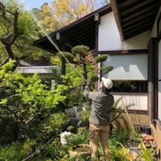 お庭のことなら当社にお任せください！～川西市にある植木屋、グリーンアレンジメントMARUHIRO～ - 地元のお店