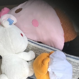 引越し不用品片付けお手伝い − 大阪府